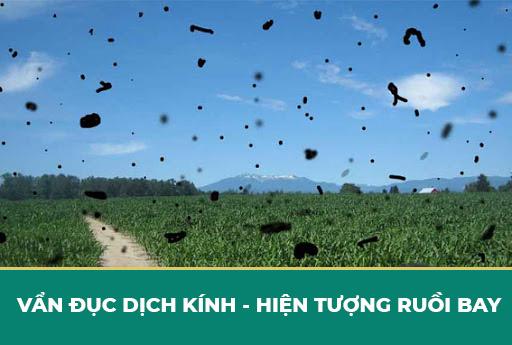 VẨN ĐỤC DỊCH KÍNH
